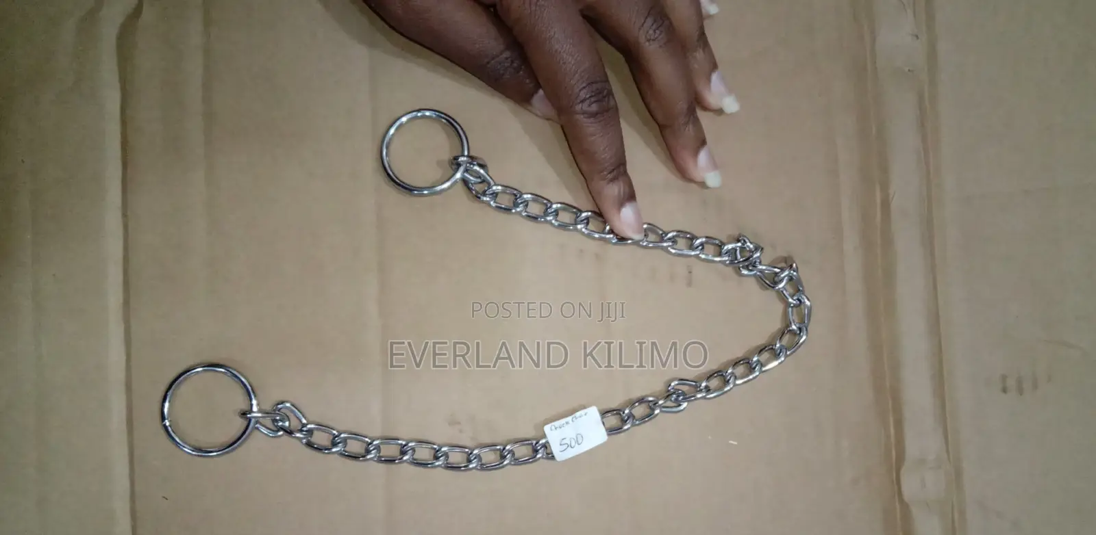 Silver Dog Chain Collar