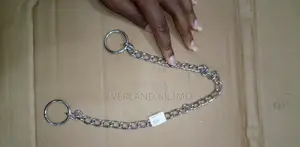 Silver Dog Chain Collar