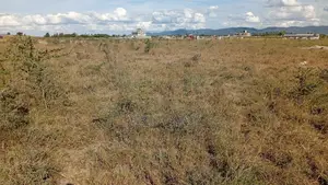 Prime 50x100 Plot For Sale In Kantafu Near Market - Ready Title