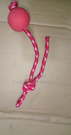 Dog Training Ball on Rope Tug Toy