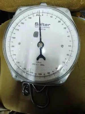200kgs Original Salter Hanging /Crane Scale
