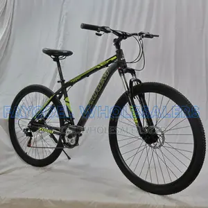 Zoom 29er Mountain Bike With Disc Brakes
