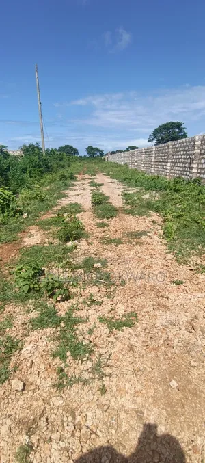 Galu Diani