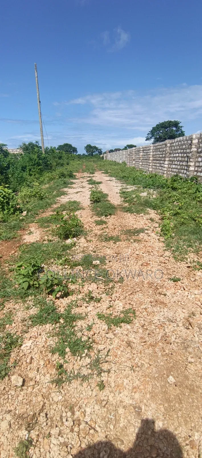 Galu Diani