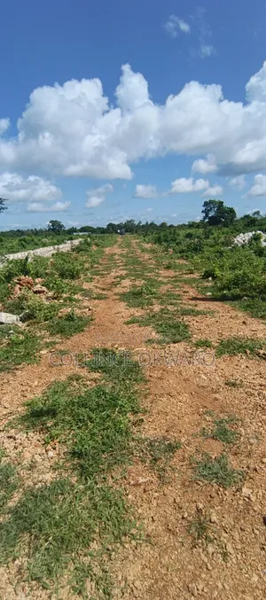 Galu Diani