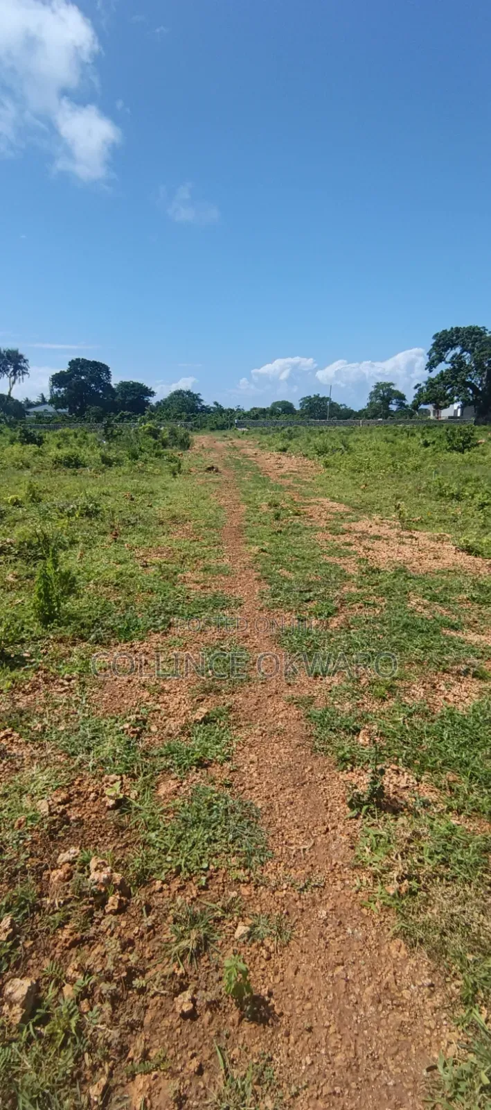 Galu Diani