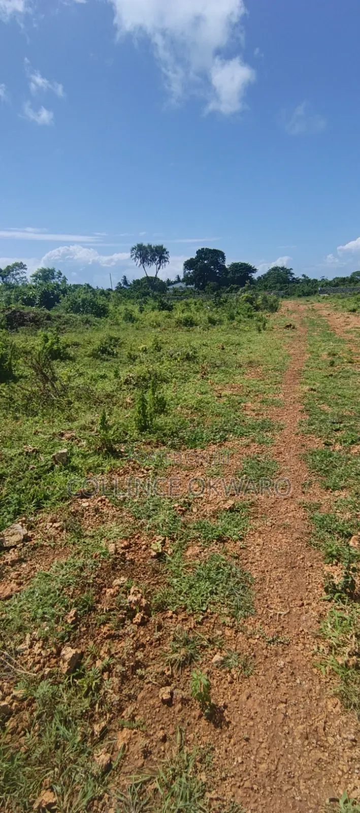 Galu Diani