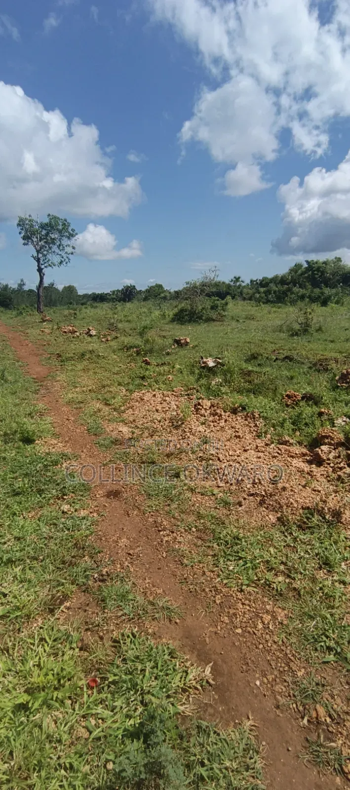 Galu Diani