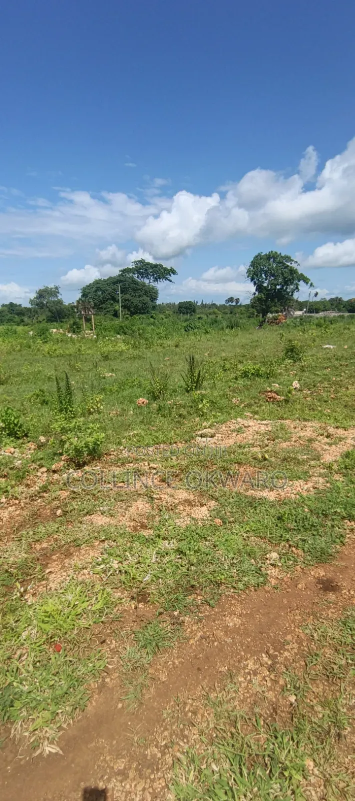 Galu Diani