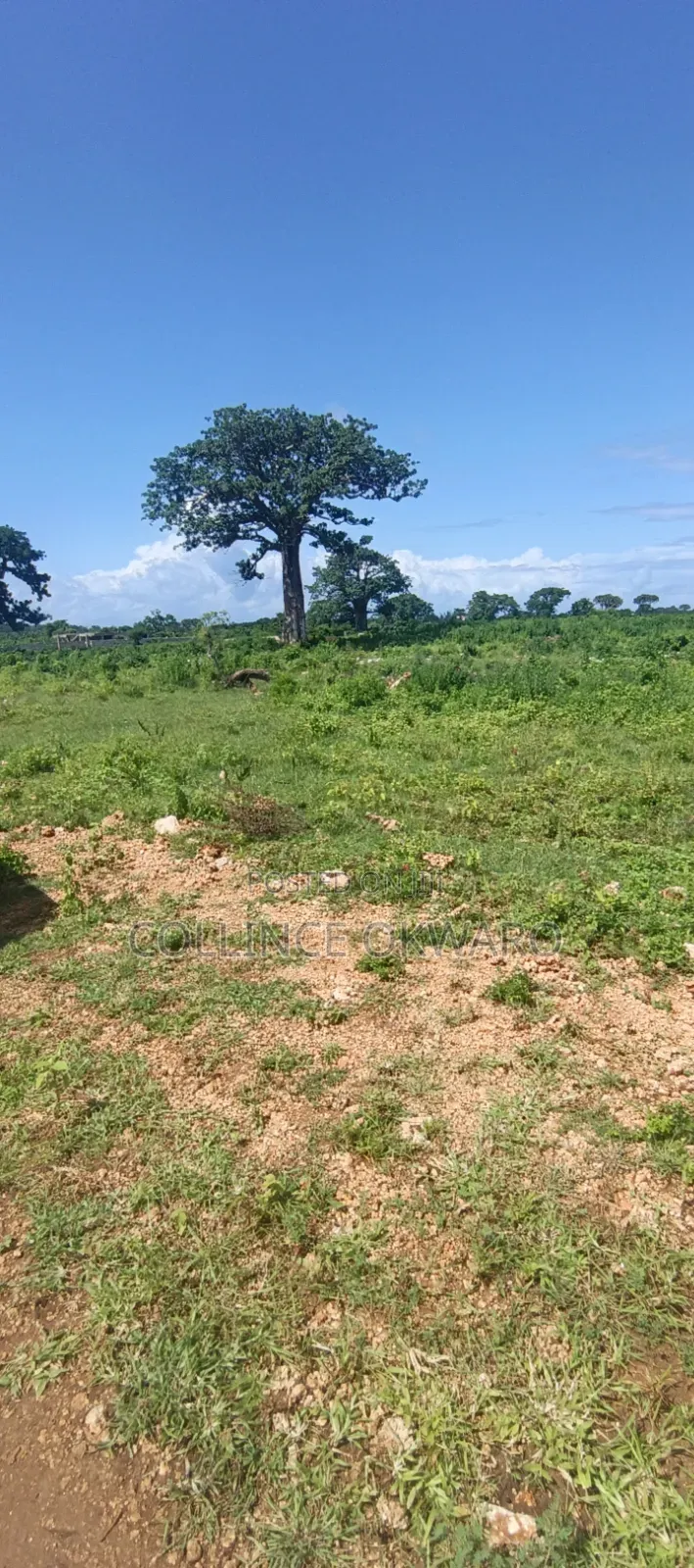 Galu Diani