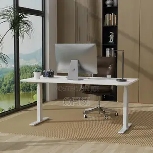 Standing Electric Desk