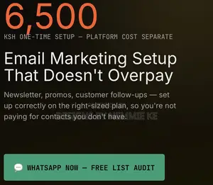 Email Marketing Setup for Business - Promos Follow- Ups Done Right