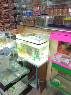 Modern Aquarium Fish Tank