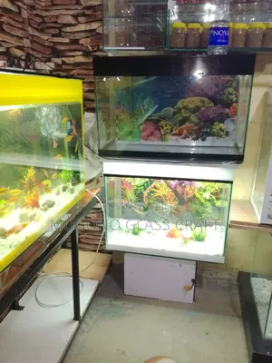 Modern Aquarium Fish Tank