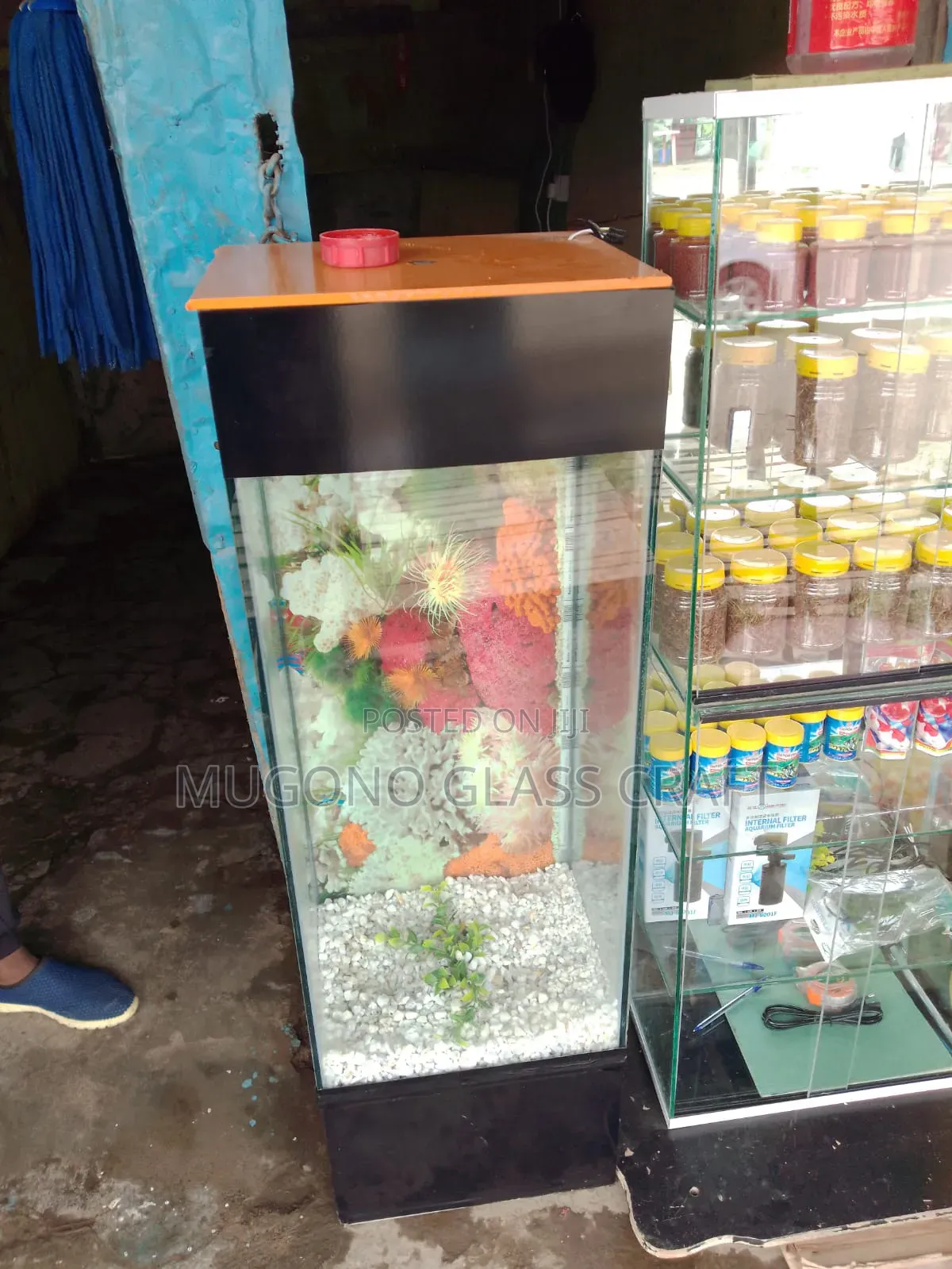 Modern Aquarium Fish Tank