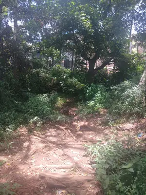 Kerarapon Area.This Beautiful 1-Acre