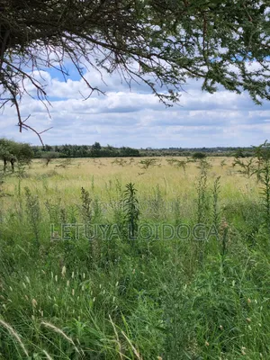 Ngong-Kimuka, Prime 5 Acres