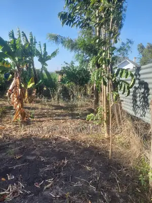 1/8th Residential Plot ,Borehole Unfinished House for Sale , Rangau