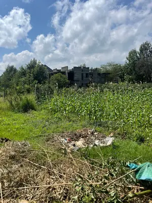 Quarter Acre Plot for Sale in Kerarapon Drive