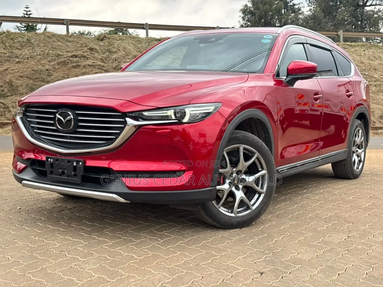 Mazda CX-8 2019