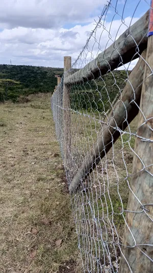 Chain-Link Fence Installation