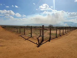 Quality Solar Electric Fence Installation