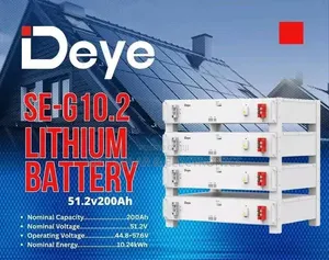 Deye 10.24 KWH - 51.2v High Quality Rack Lithium Battery 6000 Cycle