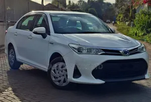 Toyota Axio 2019 White