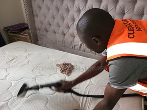 Steam Cleaning: Mattresses, Sofaseats, Car Seats and Office Seats