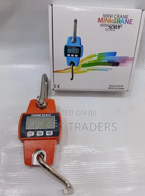300kg Mini Crane White Cover