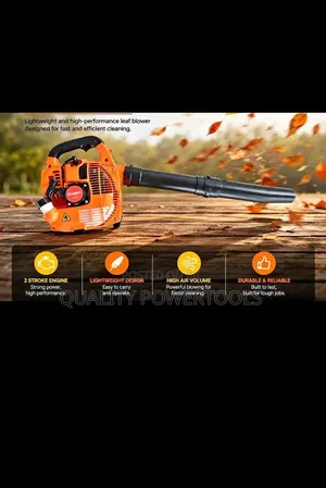 Efficient 2 Stroke Leaf Blower