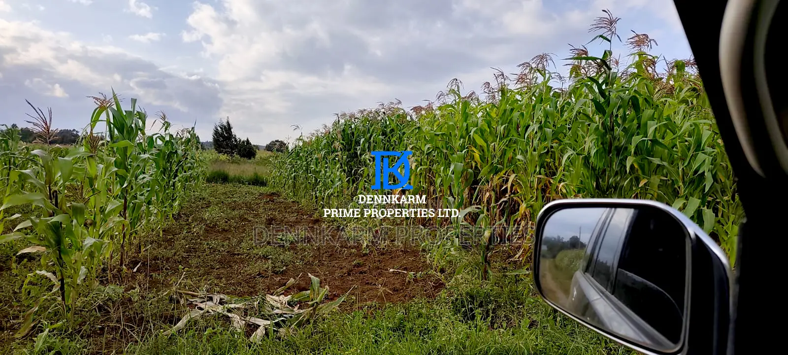 Plot for Sale – Limuru, Ndeiya (Makutano)