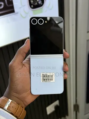 Samsung Galaxy Z Flip6 256 GB Blue