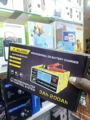 Bolaimei BLM-866c Smart 12v 24v Battery Charger With LCD