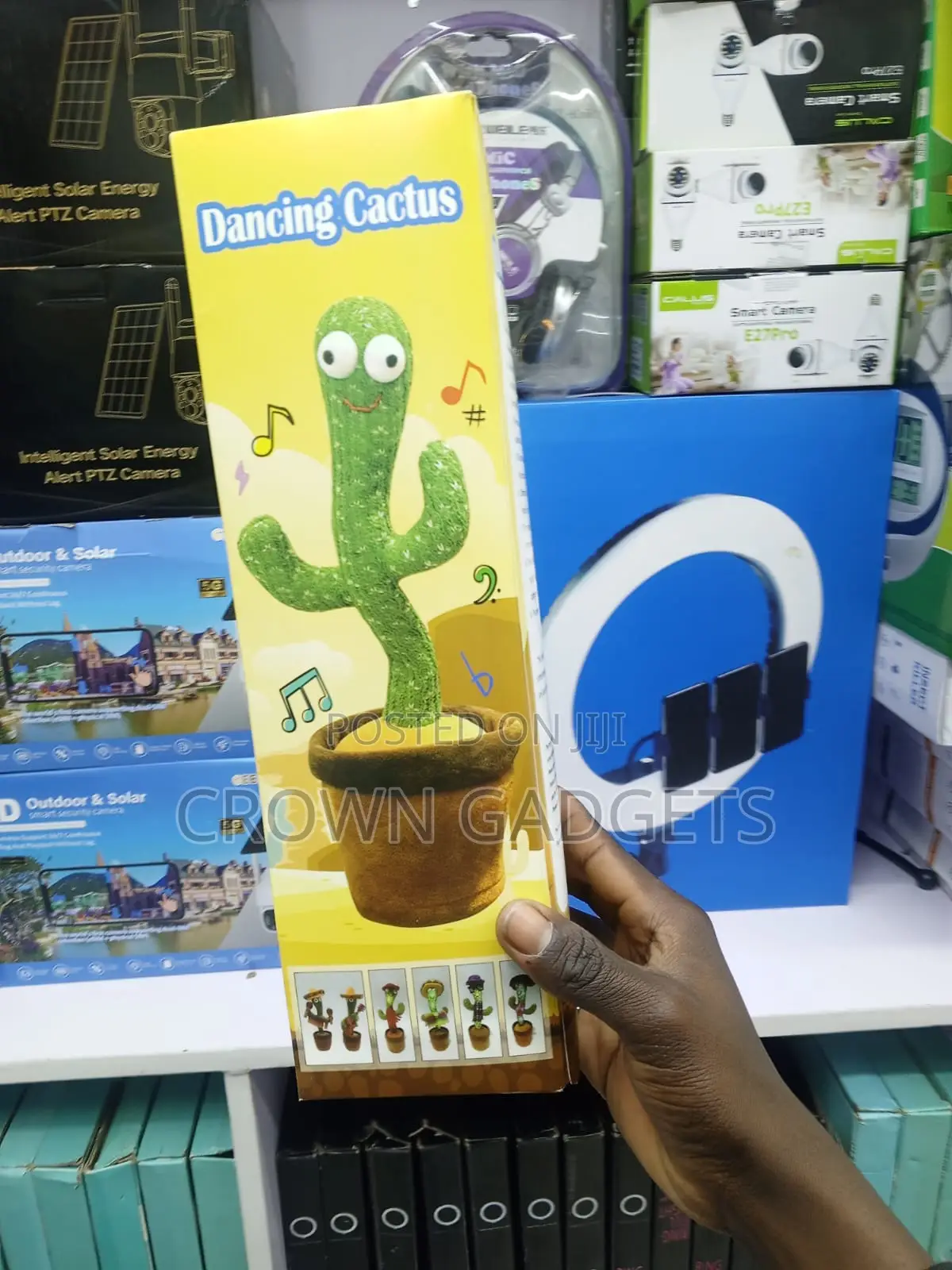 Musical Dancing Cactus Toy With Sound Recording and Dance