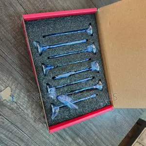 Vw Tiguan Exhaust Valves - Strong Durable Engine Solution