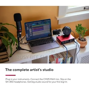 Professional 2i2 Studio 4th Gen Usb Audio Interface Bundle