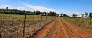 1⁄4 Plots for Sale in Marura, Eldoret.