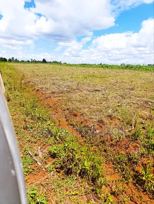 Plot for Sale