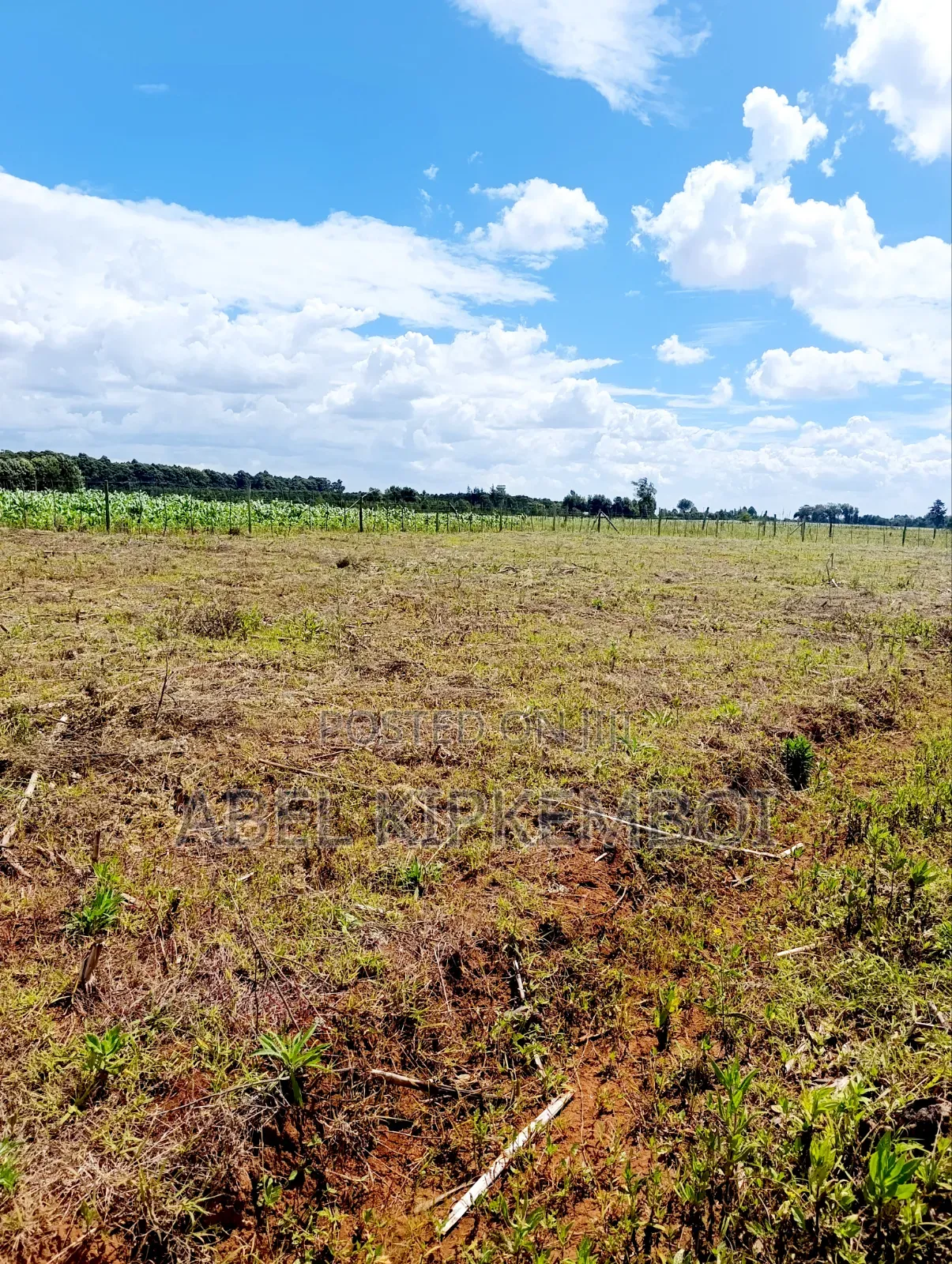 Plot for Sale