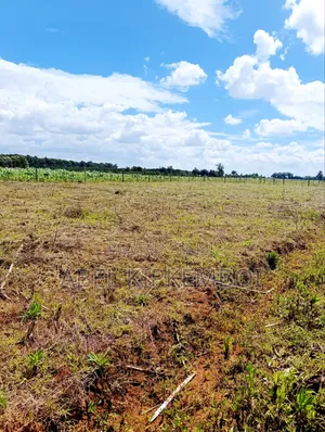 Plot for Sale