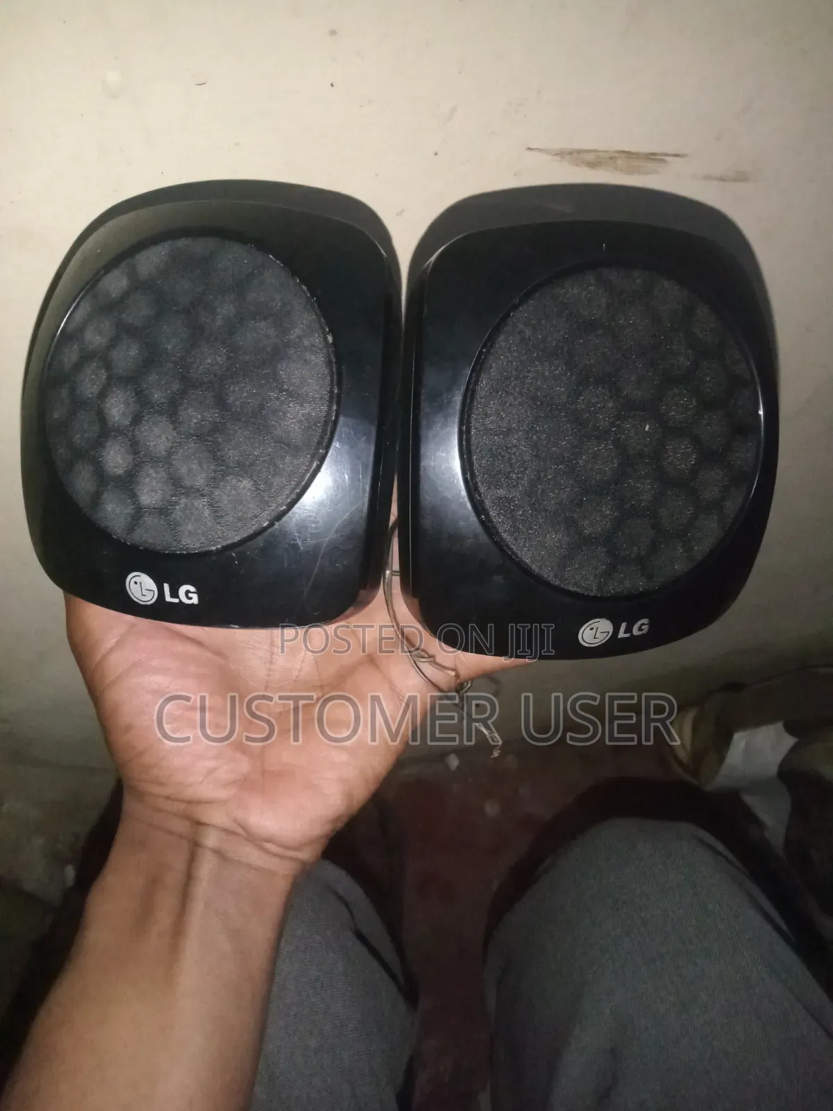Lg Midrange Speakers