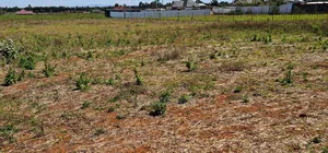 Plots For Sale In Eldoret Chepkanga Chemaluk