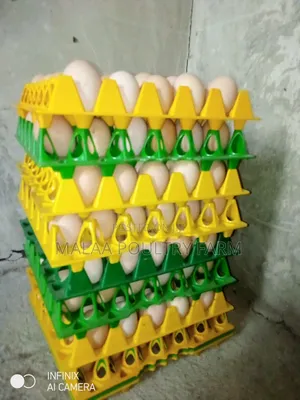 Fertilised Improved Kienyeji Eggs in Malaa