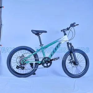 Llita MTB 20 Inch – Multi-Speed Bicycle
