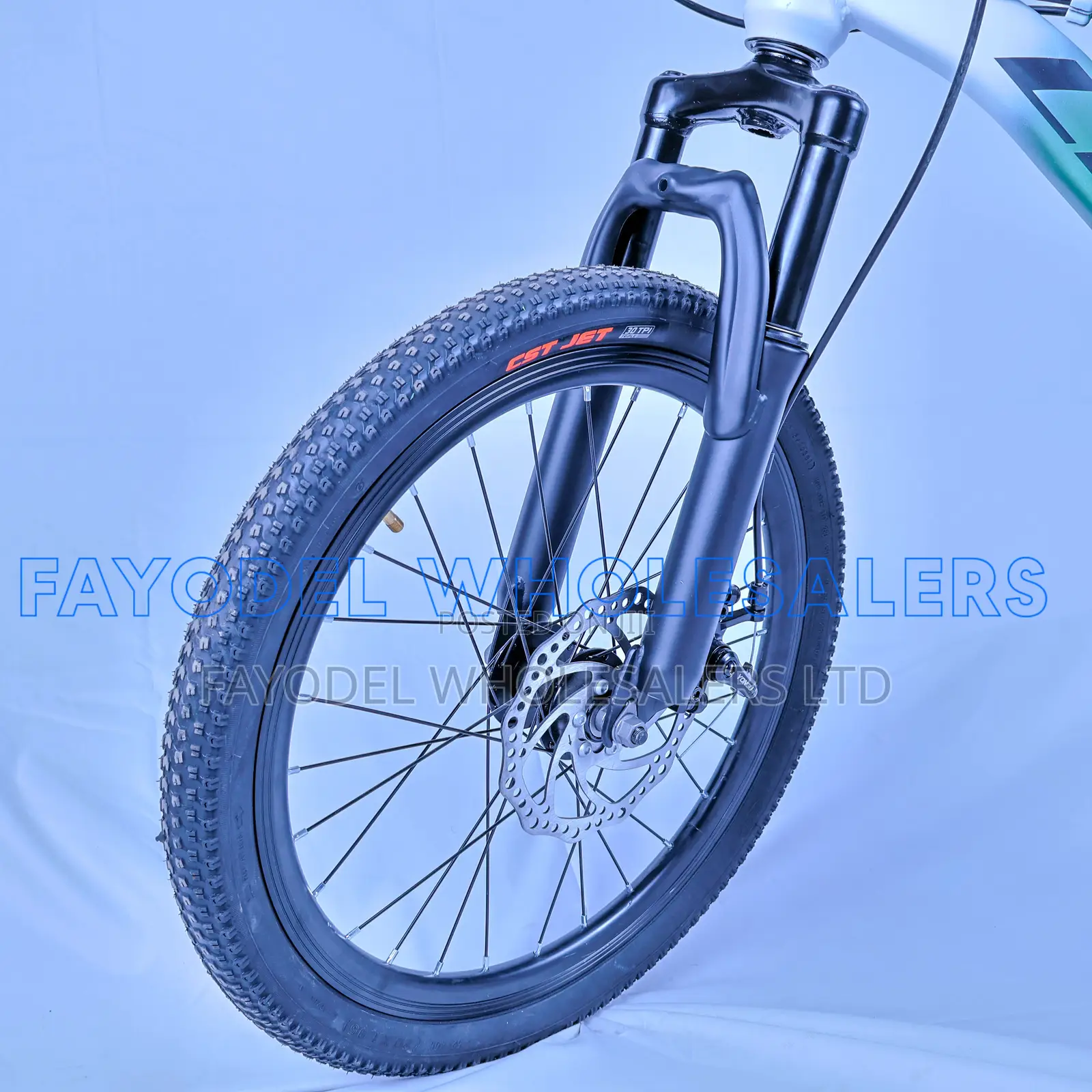 Premium Llita 20 Inch MTB