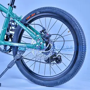 All-Terrain Llita Bike Size 20