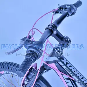 Unirox 20" Mountain Bike With Disc Brakes