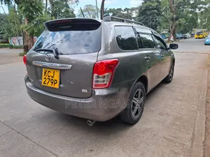 Toyota Corolla Fielder 2010 Silver