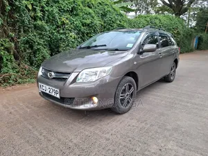 Toyota Corolla Fielder 2010 Silver
